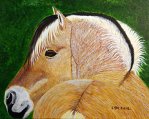 Animals by Sybil A. Bissell