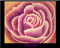 Sheila's Rose by Sybil A. Bissell