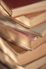 Books by Sybil A. Bissell