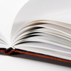 Projects by Sybil A. Bissell